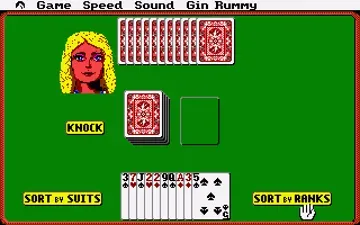 Hoyle's Official Book of Games Volume 1_Disk2